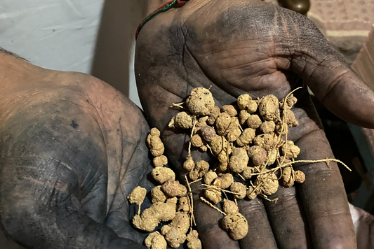 "Sustainable Fashion" is an Oxymoron